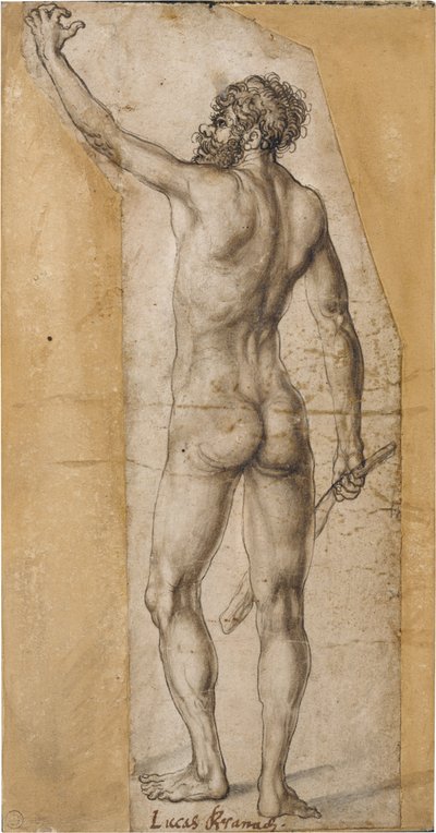 Study of a Standing Man (Back View) by Lucas Cranach the Elder